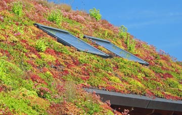 Smythes Green living roof systems